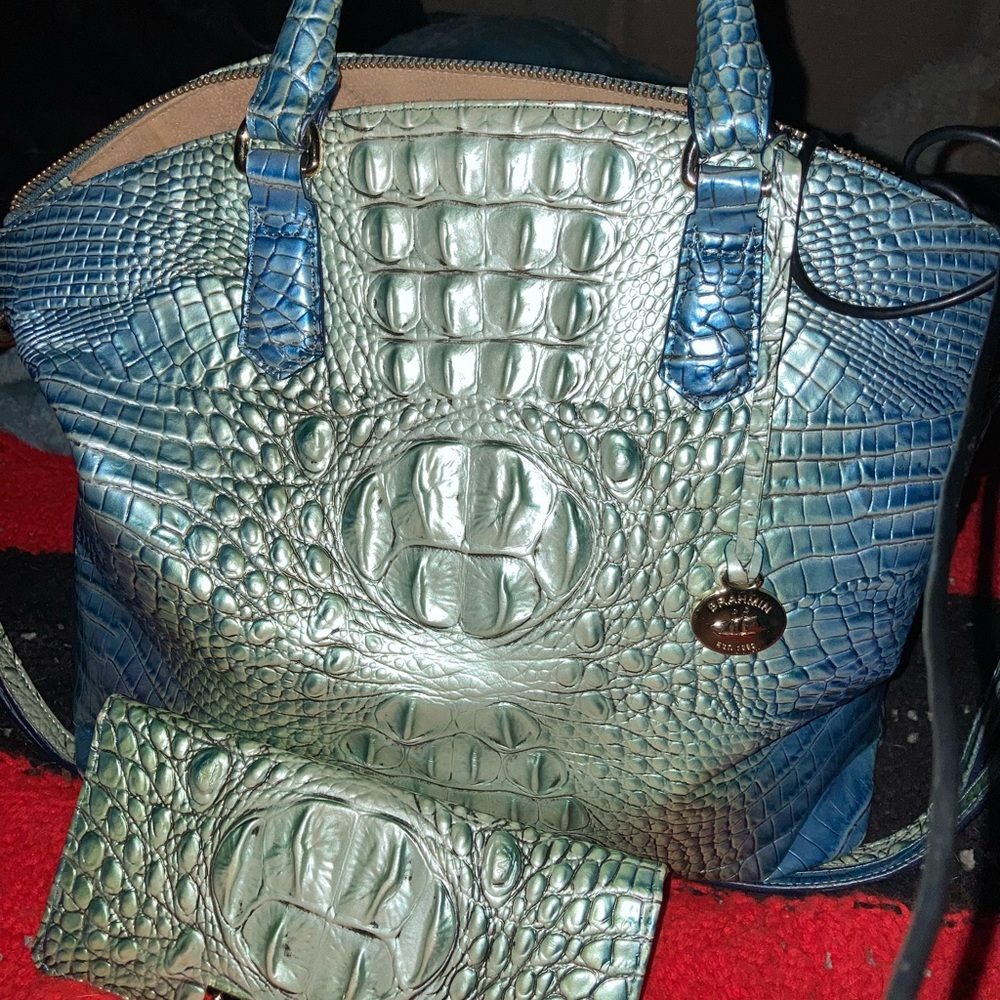 Brahmin artic blue matching set